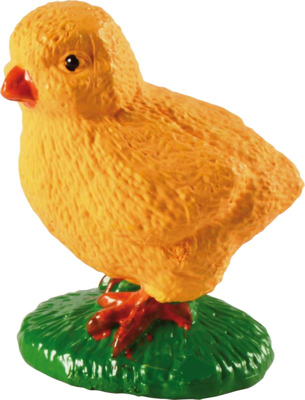 Lebenszyklen Huhn