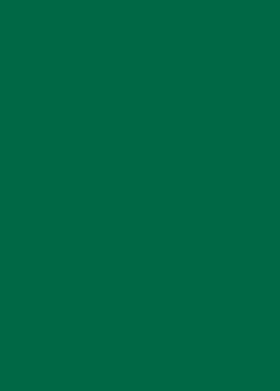 Tonkarton tannengrün 50x70cm 10 Bögen 220 g/m²
