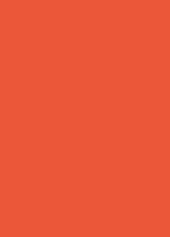 Tonkarton orange 50x70cm 10 Bögen 220 g/m²