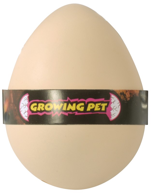 Wachsende Eier Meerestiere sortiert