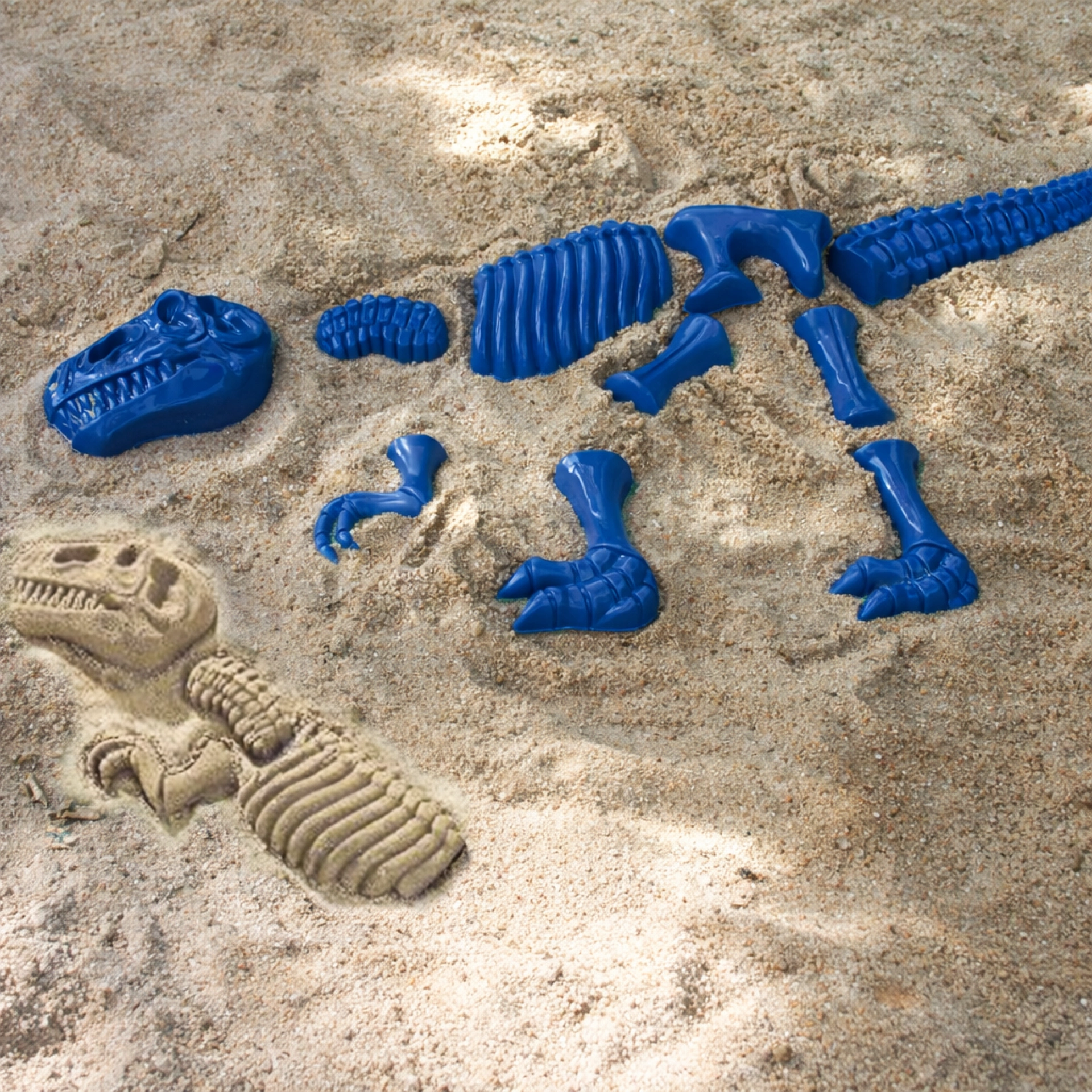 Sandformen, Dinosaurier T-Rex