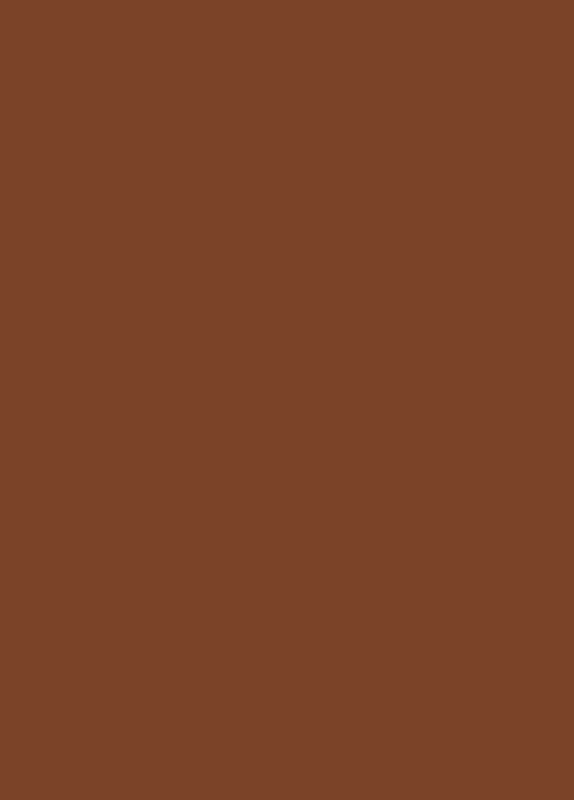 Tonkarton schokobraun 50x70cm 10 Bögen 220g/m²