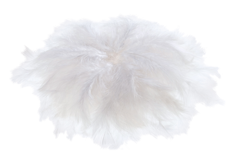 Flauschfedern weiß ca. 100 g
