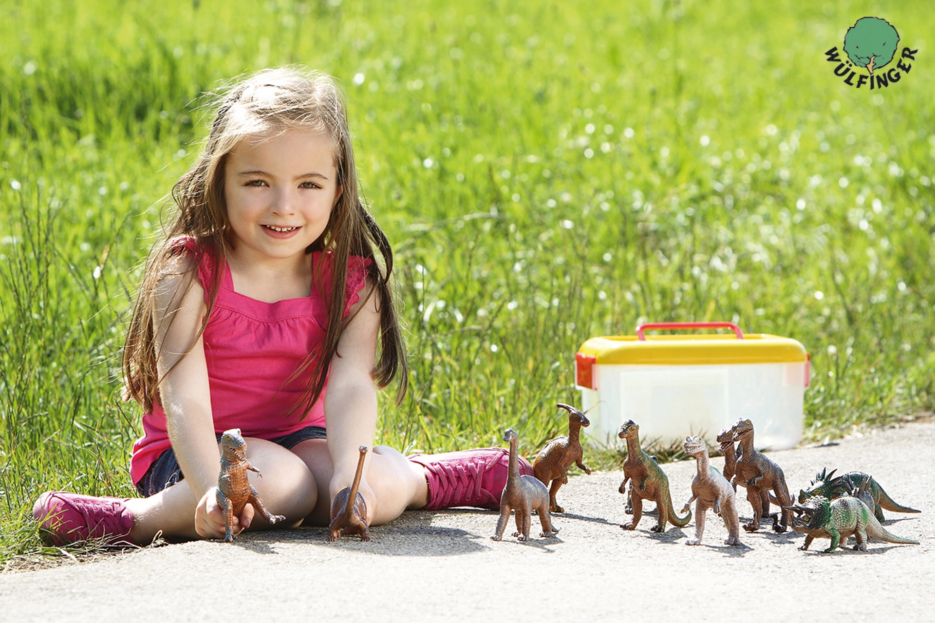 Dinosaurier - Set 12 in Box