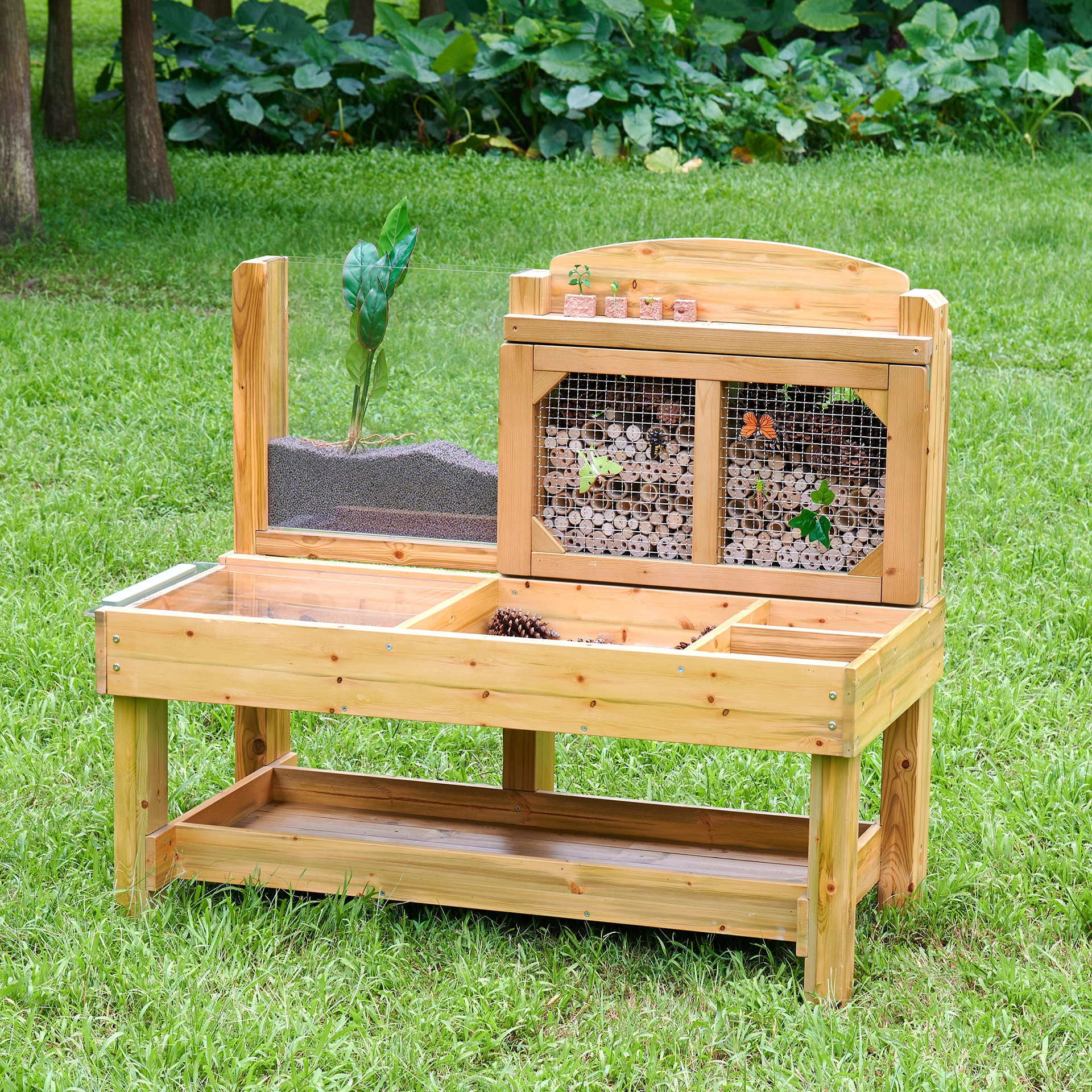 Insekten- und Pflanzenbeobachtungsstand