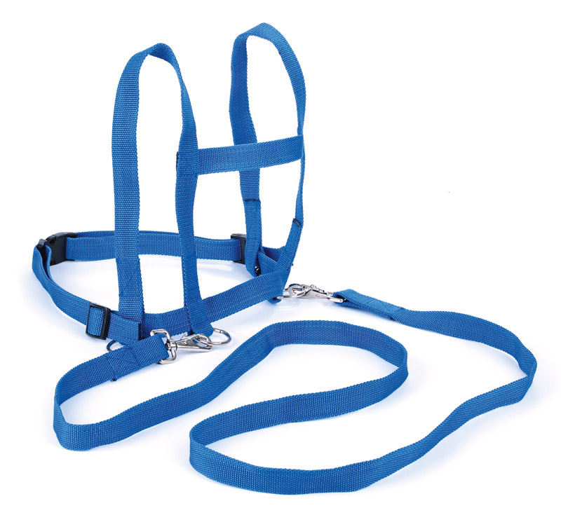 Kinder Pferdeleine, blau